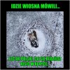 Wiosna 