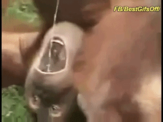 LOL...
