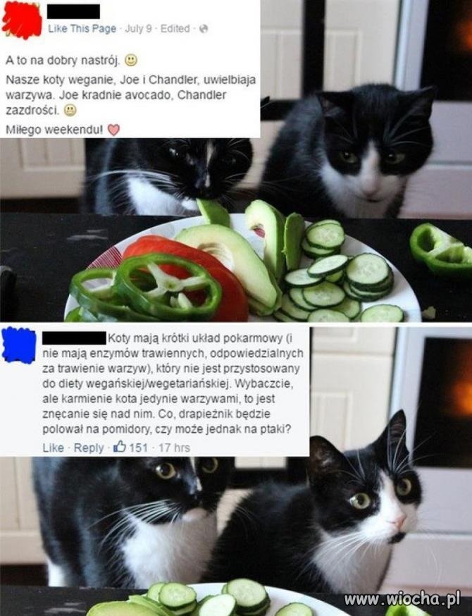 Tacy ludzie naprawdę istnieją, serio...