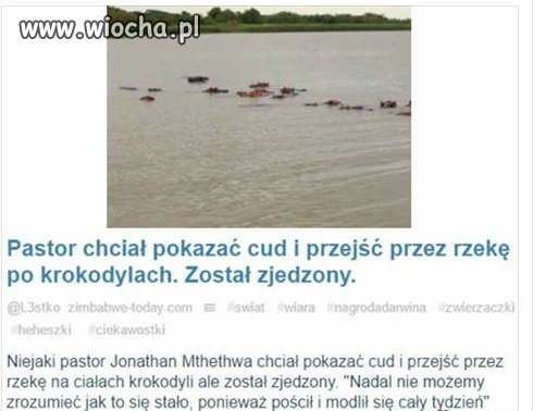 A może ten nasz główny pasterz, ojciec T
