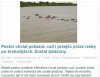 A może ten nasz główny pasterz, ojciec T