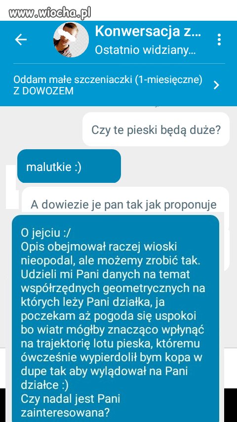 Oddam szczeniaki z dowozem
