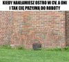 Chyba popełnili błąd