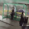 Poniedziałki takie są
