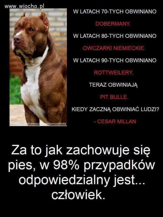 A teraz kogo