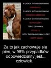 A teraz kogo