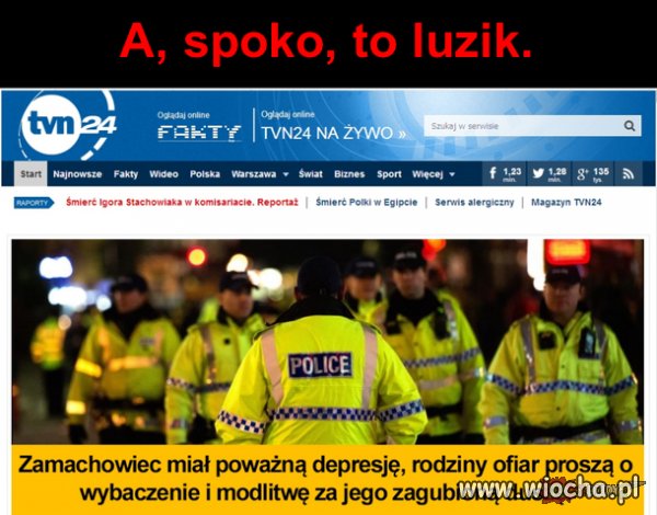 Co oni maja w tych łbach