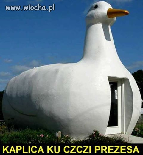 Prezes będzie zadowolony 