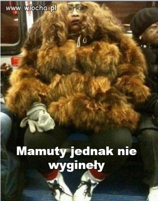 Moda damska