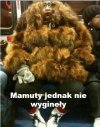 Moda damska