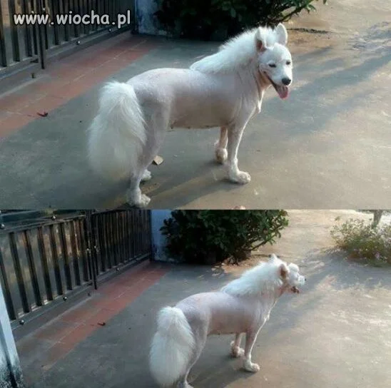 Z cyklu