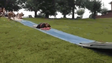 Hi hi hi...