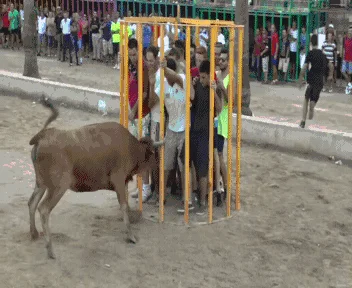WTF...