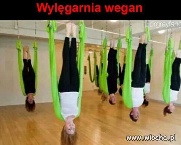 Wylęgarnia wegan