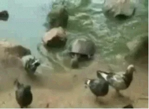 Uauuu...