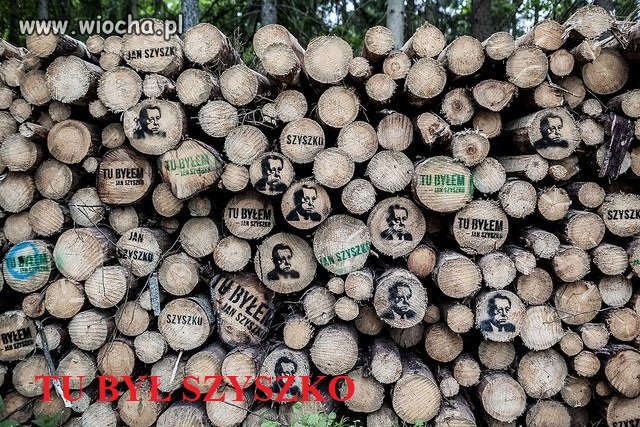 WALKA O PUSZCZĘ TRWA