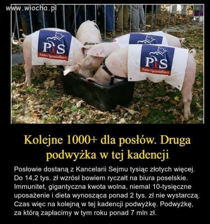 Dobra zmiana