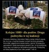 Dobra zmiana