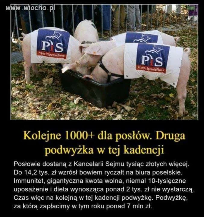 Dobra zmiana
