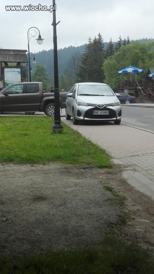 Mistrz parkowania