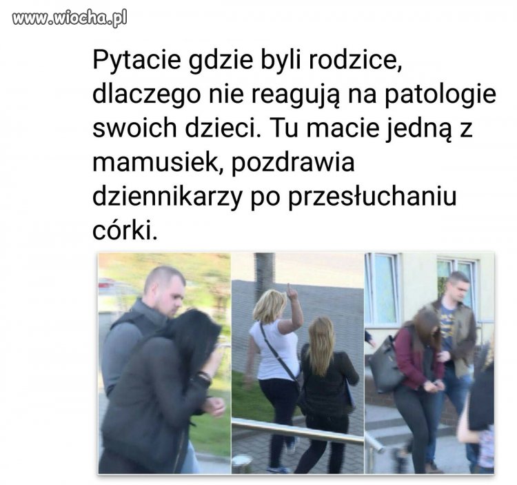 Pokolenie chamów "wychowuje" ...