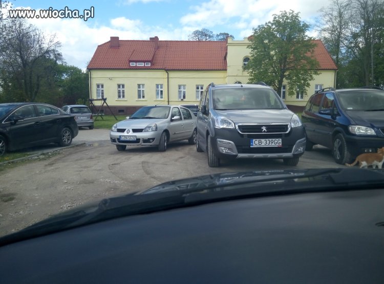 Mistrz parkowania 