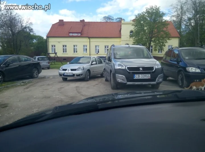 Mistrz parkowania 