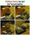 Ogłoszenie