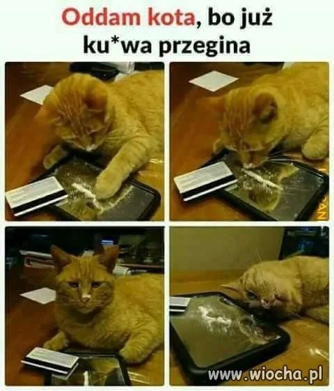 Ogłoszenie