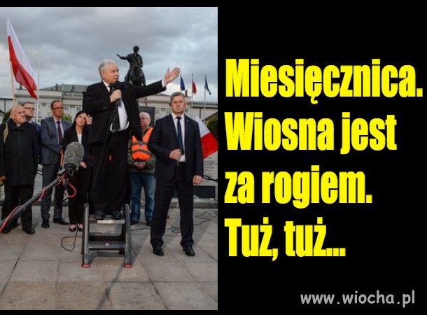 Wiosna jest za rogiem. 
