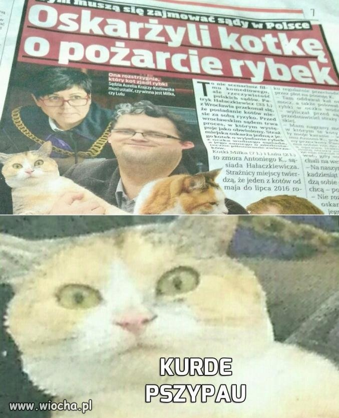 Przyłapany