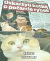 Przyłapany