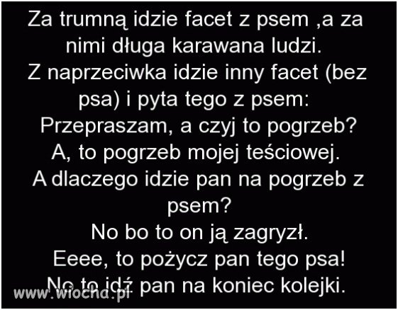 Dobry piesek 