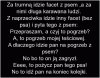 Dobry piesek 