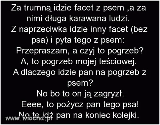 Dobry piesek 