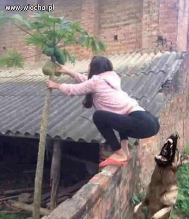 WTF...