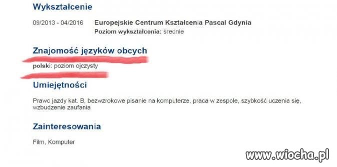 Statystyczny młody Polak na rynku pracy