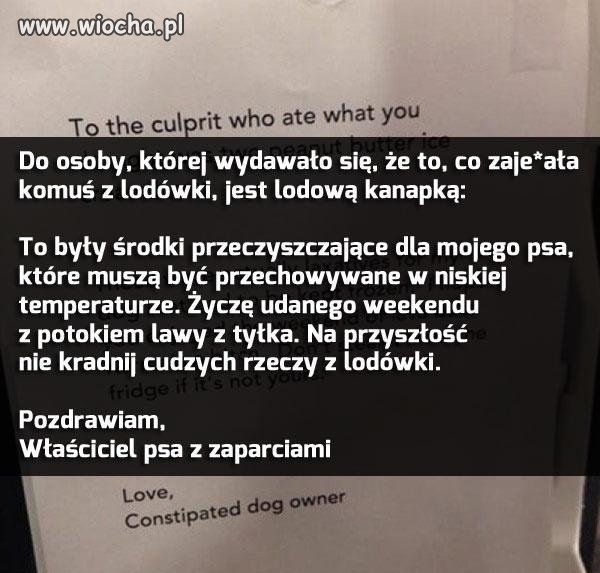 Właściciel psa