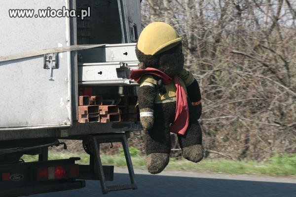 Z miśkiem bezpieczniej 