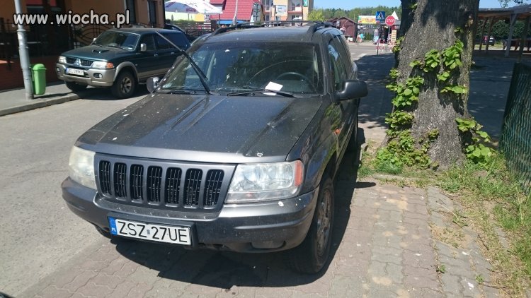 Mistrz parkowania