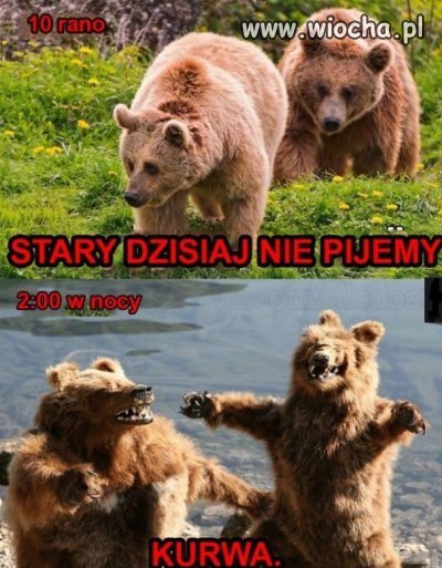 Stary dziś nie pijemy