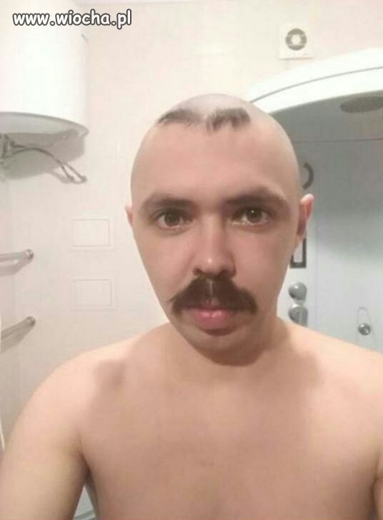 Który wąs 