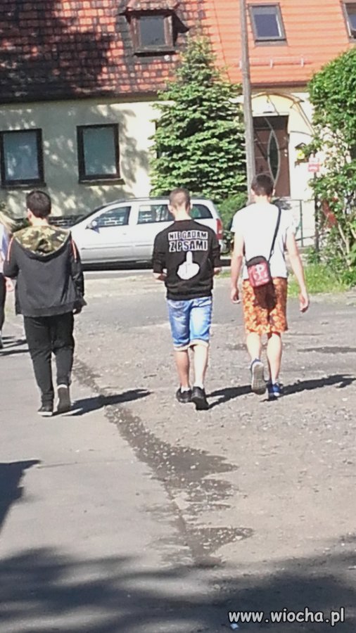 Łabędzka patologia