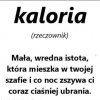 Na czasie