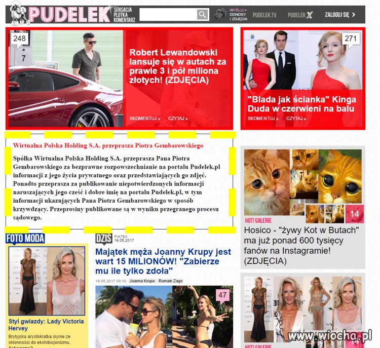 Pudel przeprasza