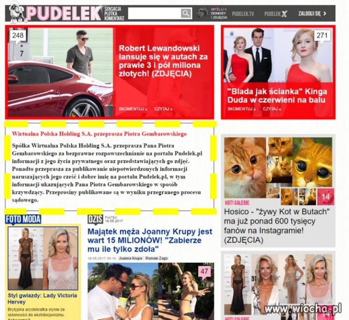 Pudel przeprasza