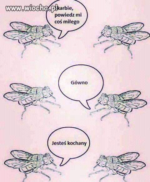 Tak by było