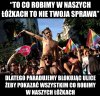 Logika LGBT