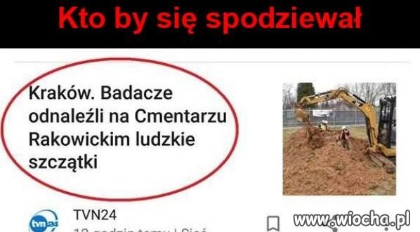 Normalnie szok