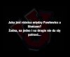 Jaka jest różnica między Pawłowicz a słońcem?